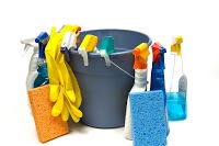 The Cleaning Company 355454 Image 0